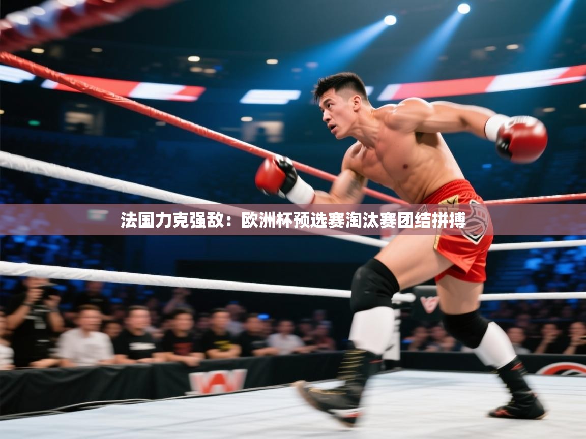 法国力克强敌:欧洲杯预选赛淘汰赛团结拼搏 第2张