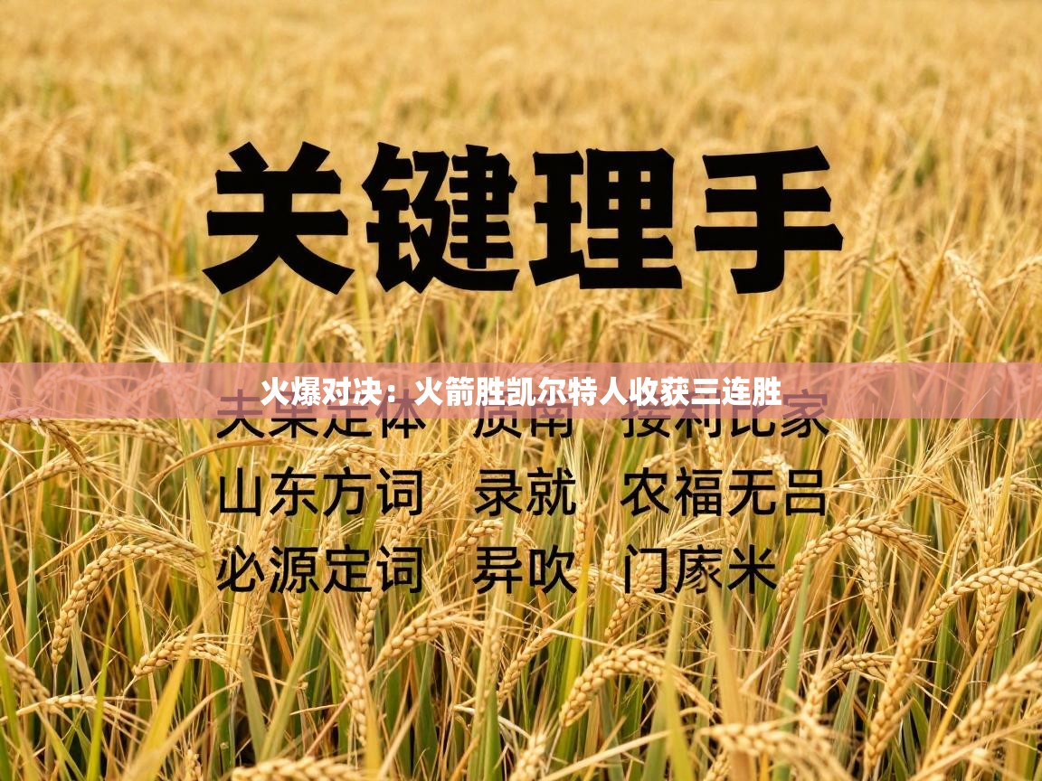 火爆对决：火箭胜凯尔特人收获三连胜  第2张