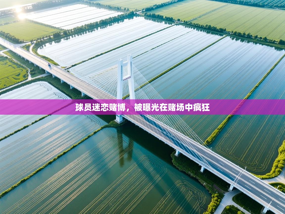 球员迷恋赌博，被曝光在赌场中疯狂  第1张