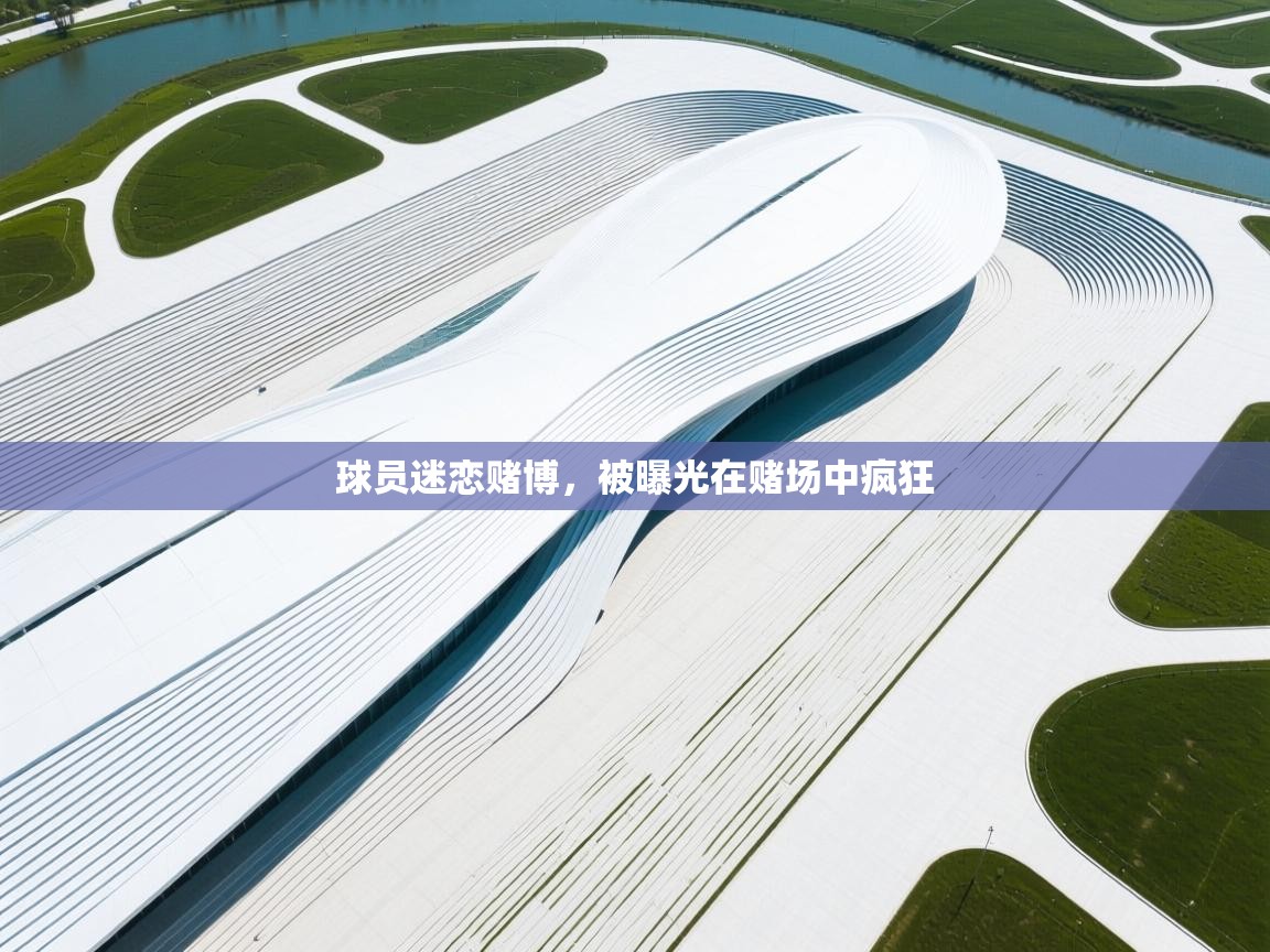 球员迷恋赌博，被曝光在赌场中疯狂  第2张