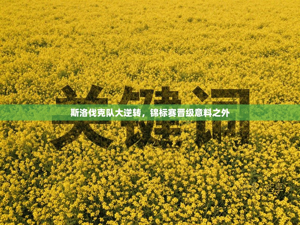 斯洛伐克队大逆转，锦标赛晋级意料之外  第1张