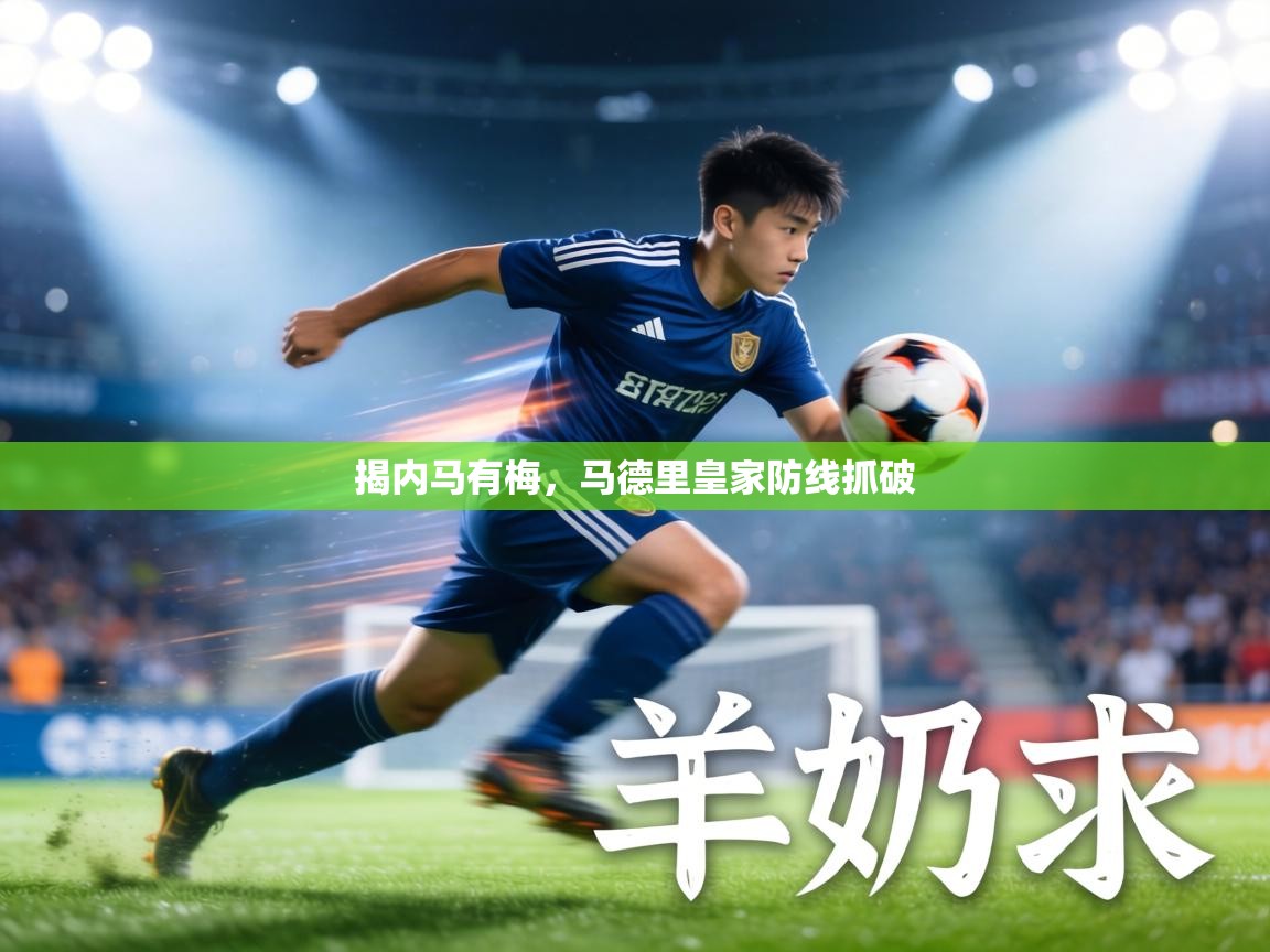 揭内马有梅,马德里皇家防线抓破 第1张